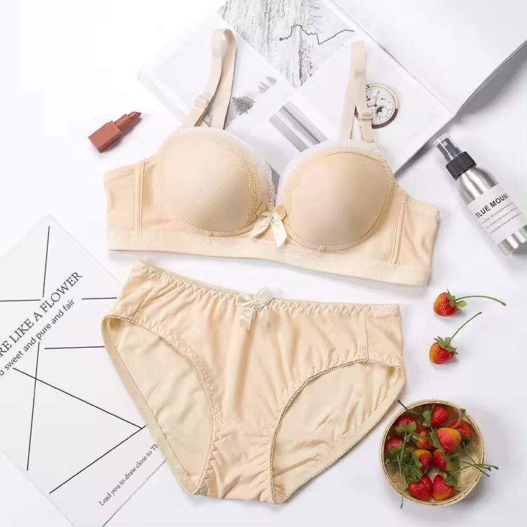 COMBO OF 6 BRA AND PANTIES SET | IMPORTED